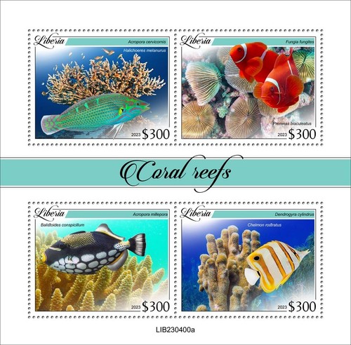Coral reefs and fishes - coral,