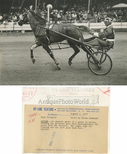 Horse race pacer sulky - , antique