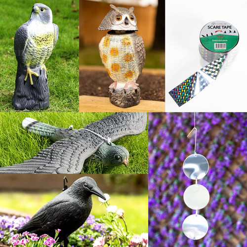 Bird decoy animal - decoy,