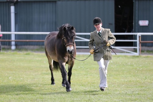 Foxley keepers tweed - keepers,