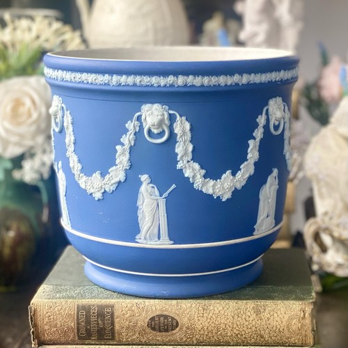 Wedgwood jasperware jardiniere - wedgwood,