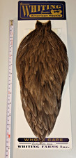 Whiting American Rooster Cape
