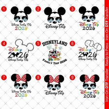 Disney 2026 Trip Family DTF