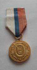 POLAND MEDAL - POLISH DEFENCE LEAGUE 1st CLASS GOLD AWARD.  FULL SIZE ORIGINAL