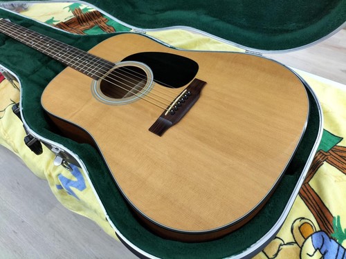 Martin acoustic guitar - d-18,