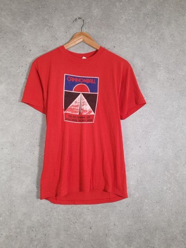 Vintage hanes cannonball - vintage,