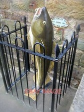 PHOTO  THE FISH COLLECTING BOX