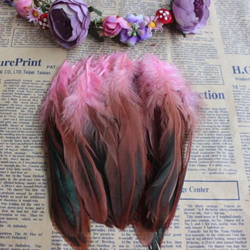 Rooster tail feathers many - feathers,