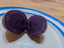 VITANOIRE Seed Potatoes - High