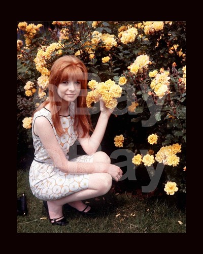 Jane asher 16x12 photo - jane,