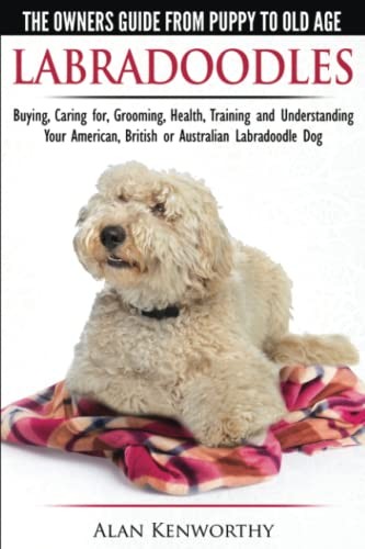 Labradoodles the owners - -,