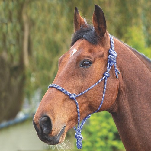 Shires horse rope controller - horse,