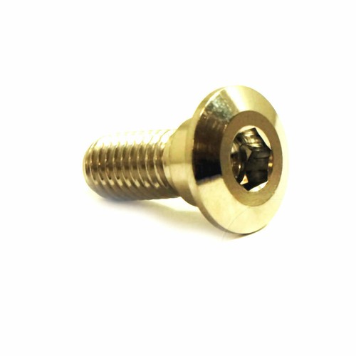 Bolt brake disc - 1, 20mm
