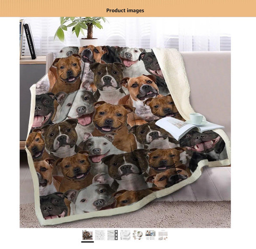 Staffordshire bull terrier - bull,