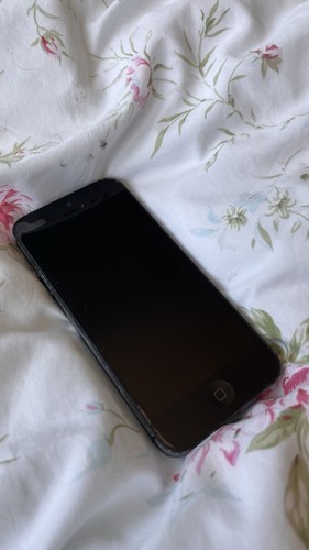 Apple iphone 16gb black - apple, 5