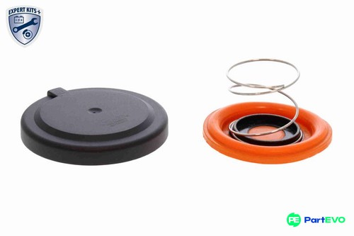 Vaico oil filter housing - vaico,