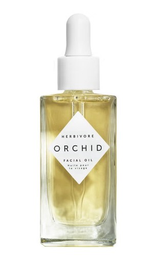 Herbivore orchid camellia - orchid, &