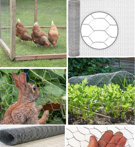Galvanised chicken wire mesh - chicken,