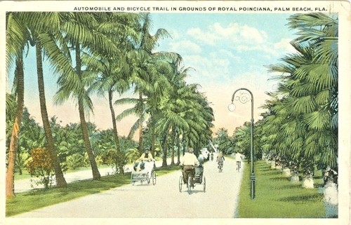 Palm beach the automobile - the,