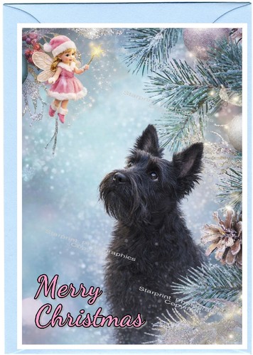 Scottish terrier scottie dog - terrier,