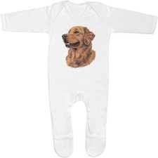 'Golden Retriever Portrait'