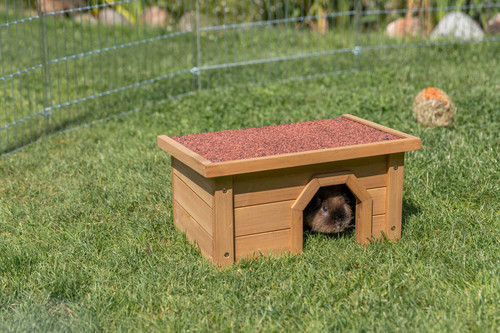 Trixie outdoor small - small, animal