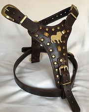BRITISH BULLDOG HARNESS REAL
