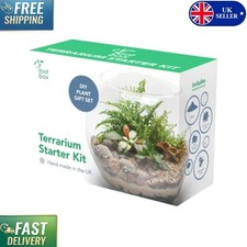 XL DIY Terrarium Plant Kit in