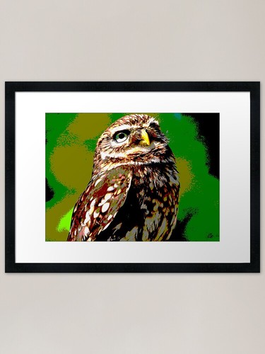 Chubby owl framed art print - chubby,