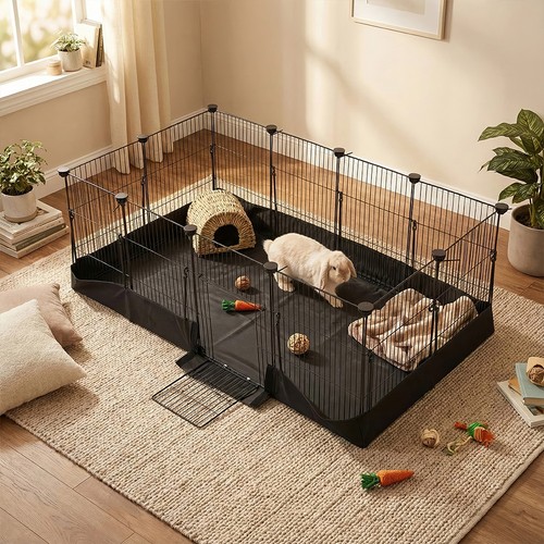 Large pet cat - cat, fence