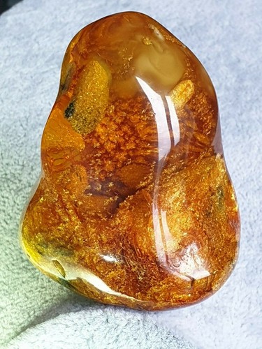 Unique natural baltic amber - baltic,