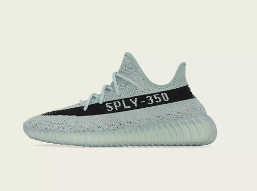 Adidas yeezy boost 350 salt - v2,