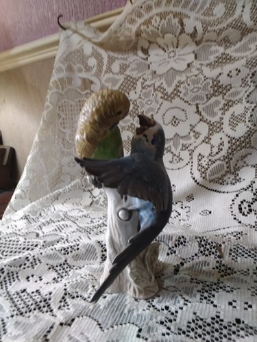 Vintage goebel budgerigars - vintage,