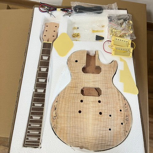 Diy electric guitar kit - guitar,