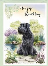 Giant Schnauzer Dog Birthday