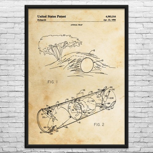 Humane animal trap patent - humane,