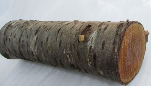 130 cherry log blank - 130,