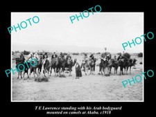OLD LARGE HISTORIC PHOTO OF T