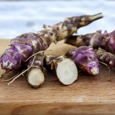 T&M Jerusalem Artichoke Papas
