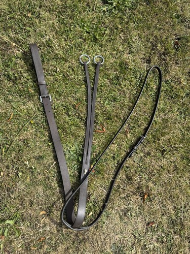 Brown running martingale - running,