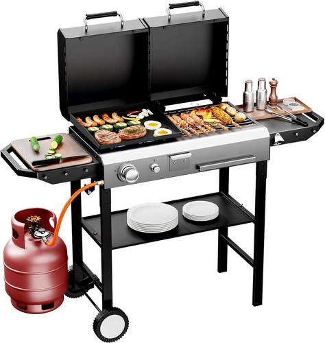 Propane gas grill - 2-in-1,