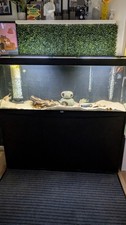 Aqualantis Splendid 150 - 5FT