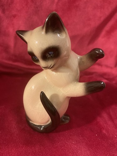 Goebal kitten cat with - goebal, blue
