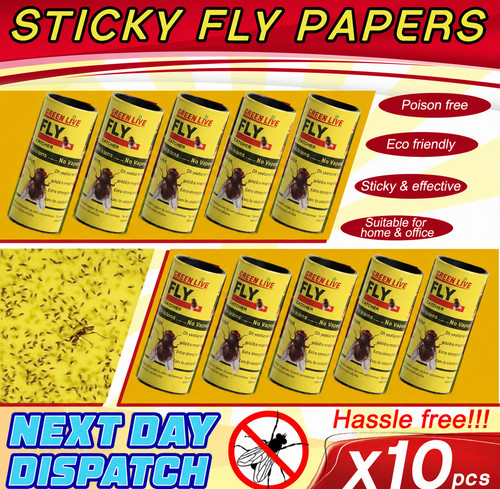 Fly insect catcher paper - catcher,