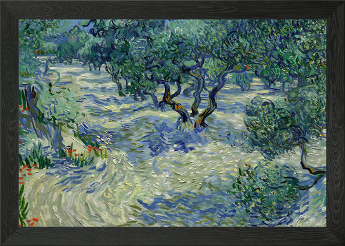 Olive grove van - gogh, framed