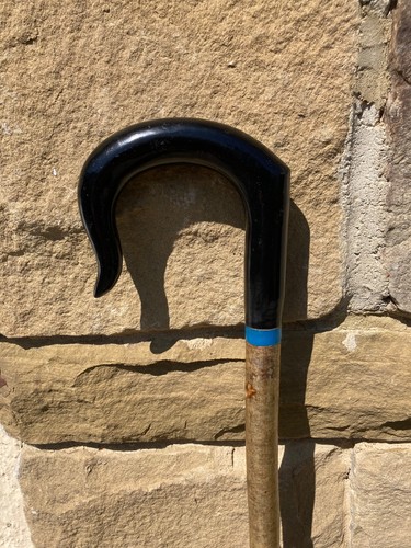 Tall black resin crook - , on