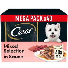 40 x 100g Cesar Sauce