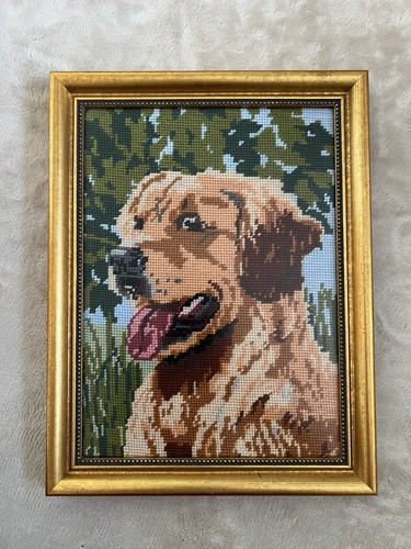 Finished golden retriever - finished,