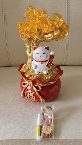 Kuntesetty fortune tree lucky - kuntesetty,