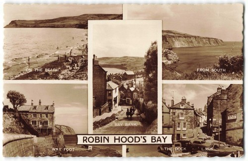 Robin hoods bay yorkshire - robin,